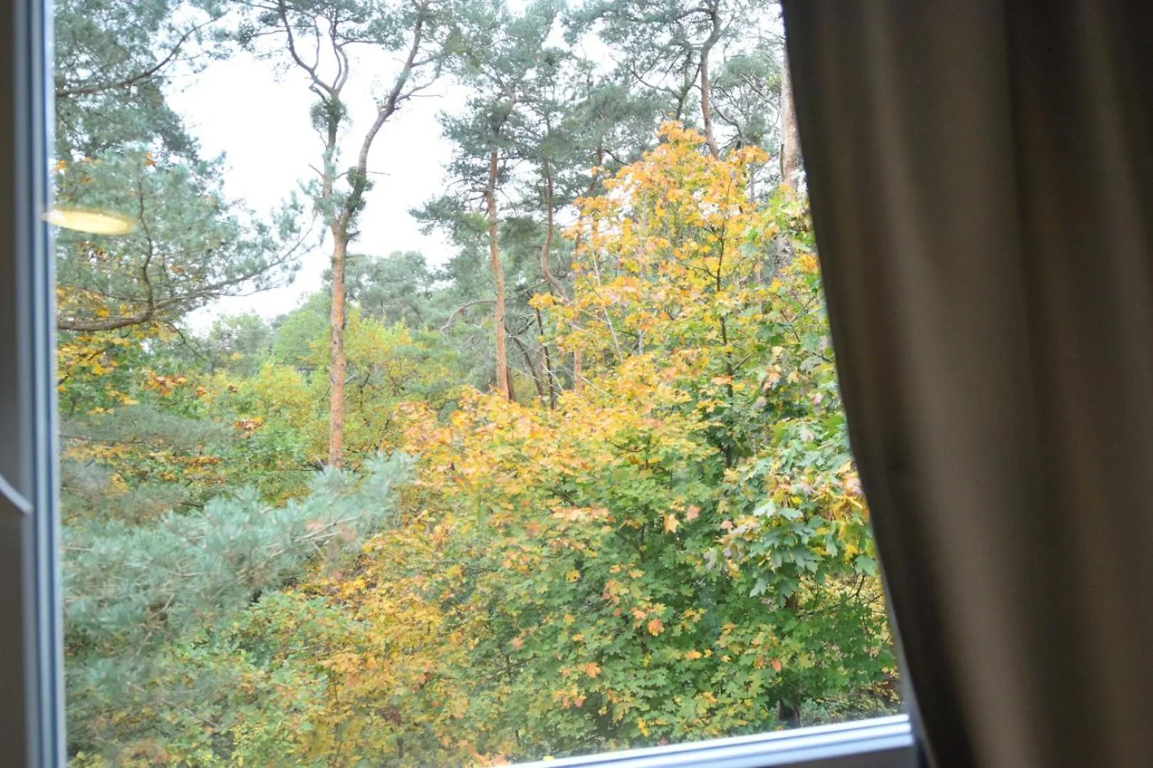 Hotel Im Natur Mit Eigene Kueche Und Bad 纽伦堡